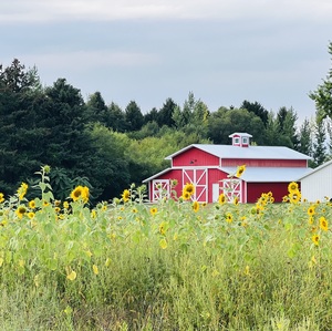 Fundraising Page: JoAnne McDaniel